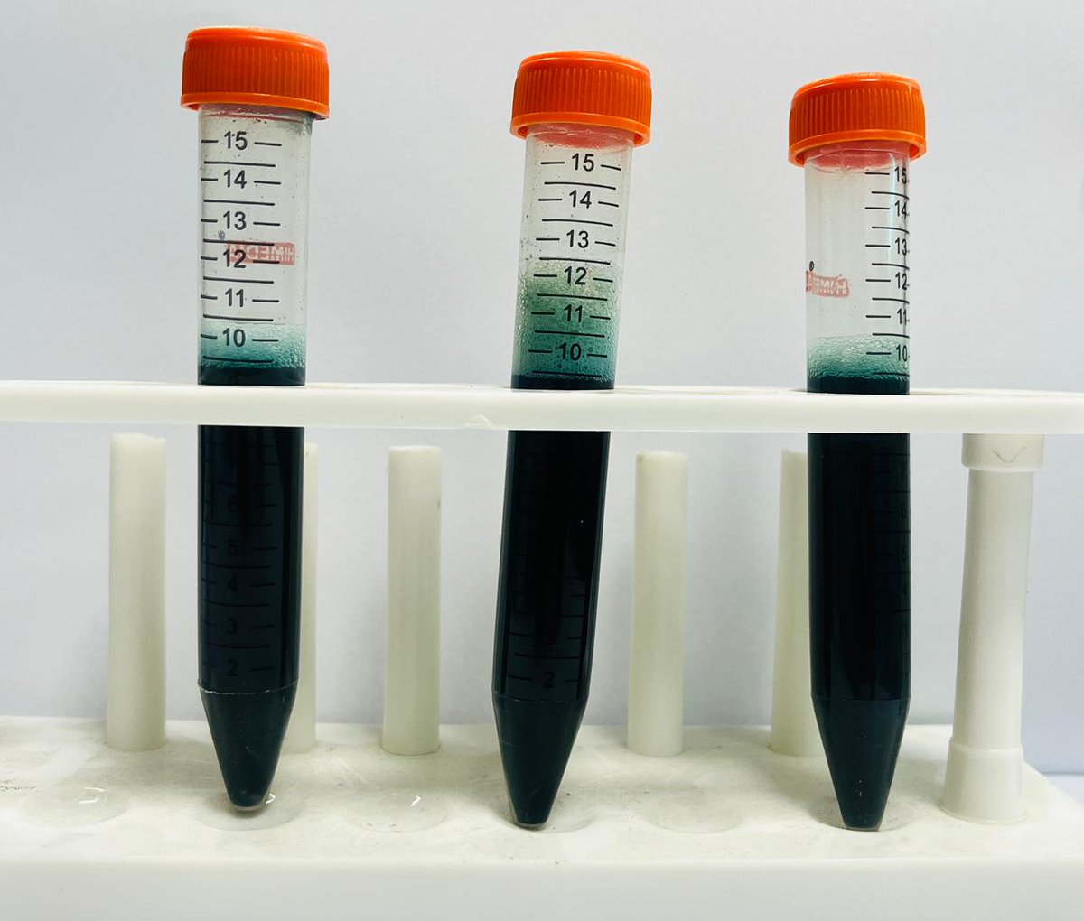 carbelimio's tweet image. What if the most vibrant blue in nature wasn’t just a color—but a scalable climate-tech solution? 

Nature built it.

 Phycocyanin → clean-label, bioactive ingredient

 We deploy it.

 XtraO2 → microalgae-powered air purification

#ClimateTech #CarbonCapture #CleanAir #Carbelim