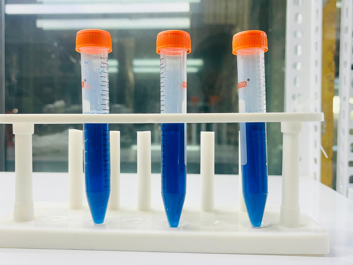 carbelimio's tweet image. What if the most vibrant blue in nature wasn’t just a color—but a scalable climate-tech solution? 

Nature built it.

 Phycocyanin → clean-label, bioactive ingredient

 We deploy it.

 XtraO2 → microalgae-powered air purification

#ClimateTech #CarbonCapture #CleanAir #Carbelim