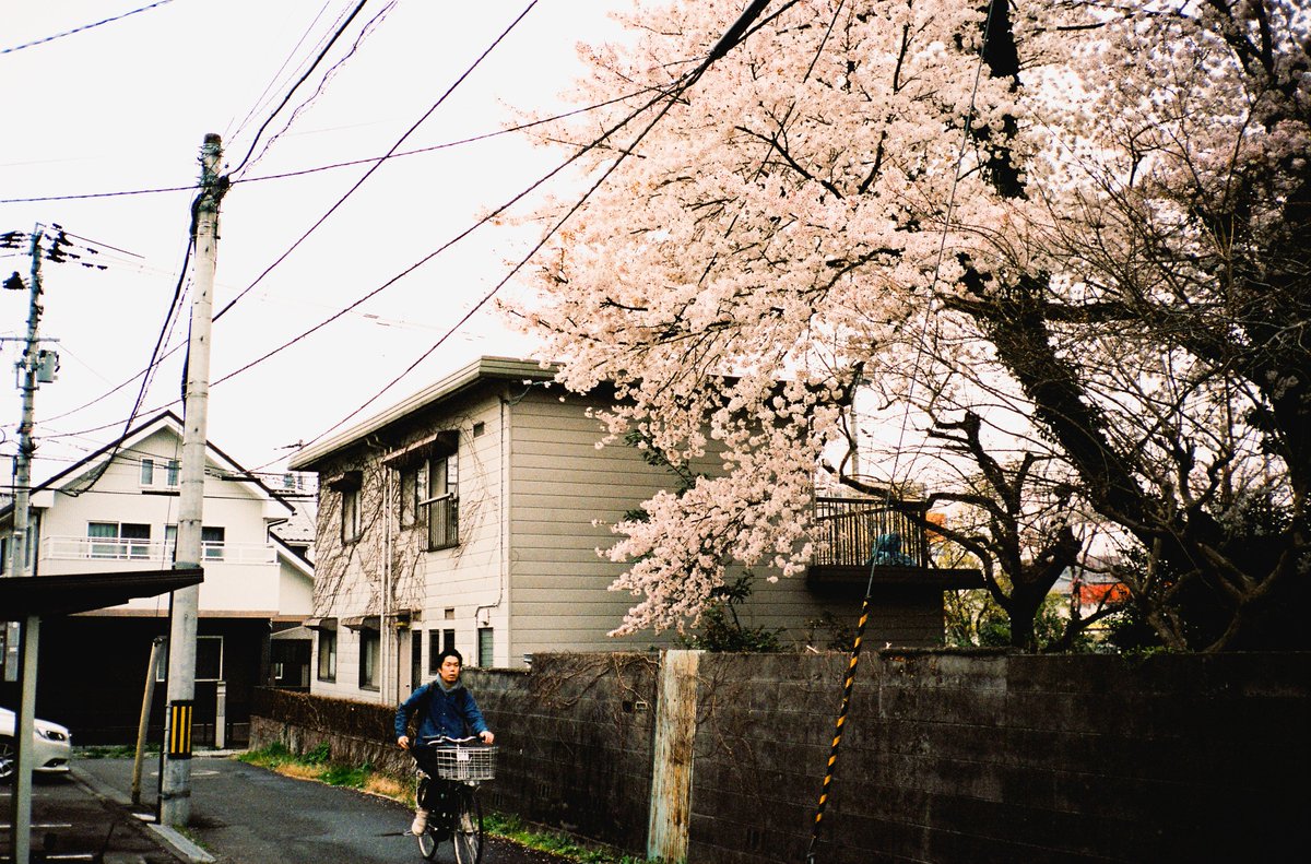 yukohorikiri's tweet image. #punctumpc