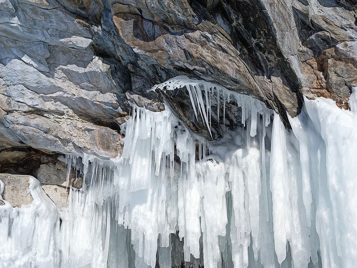 MaraGrib tweet media