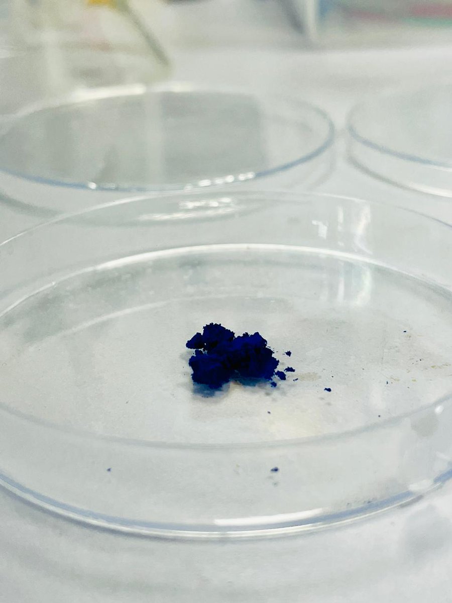 carbelimio's tweet image. What if the most vibrant blue in nature wasn’t just a color—but a scalable climate-tech solution? 

Nature built it.

 Phycocyanin → clean-label, bioactive ingredient

 We deploy it.

 XtraO2 → microalgae-powered air purification

#ClimateTech #CarbonCapture #CleanAir #Carbelim