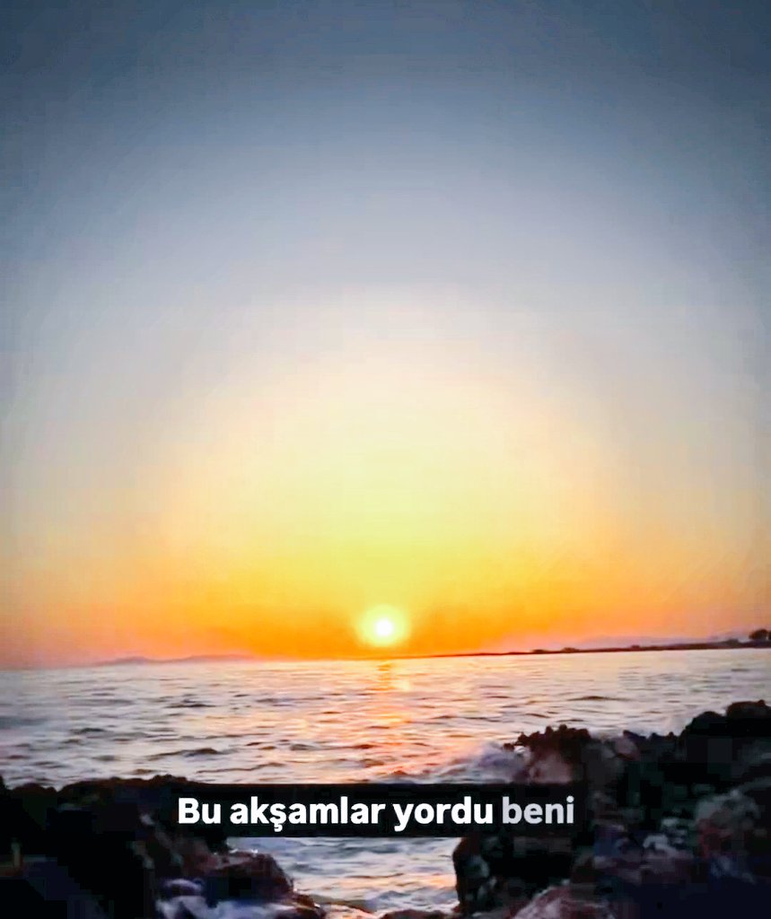 Sema ✍️📚 tweet media