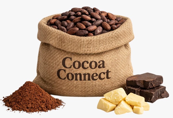 viceversa_gh's tweet photo. For decades, cocoa has sustained livelihoods, driven export revenues, and shaped Ghana’s global identity. Yet beneath this legacy lies a sector grappling with declining productivity, ageing farms, climate variability, and increasing regulatory demands, particularly from the European Union’s evolving sustainability frameworks.

Read Article Here:  https://t.co/P1XgOa9c5q

The choice of the Netherlands as host is both strategic and symbolic. As one of the world’s leading cocoa processing and trading hubs, it represents the downstream power dynamics of the global cocoa value chain where value addition, pricing, and compliance standards are largely determined.