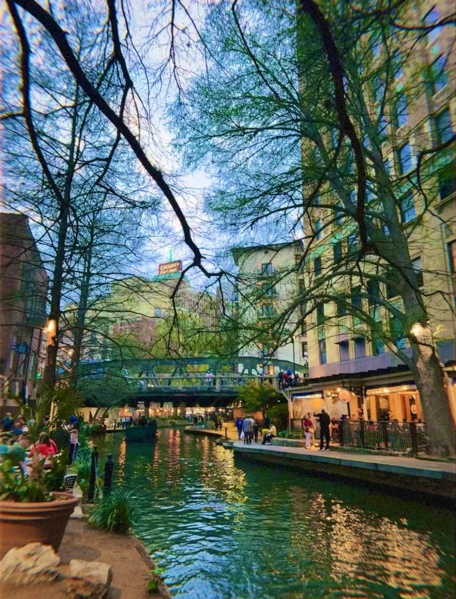 Hamilton 🇺🇸 tweet media