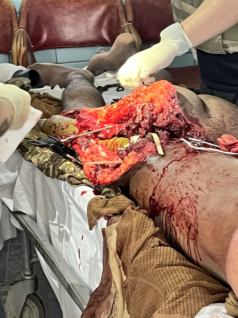 LanguageLearner tweet media