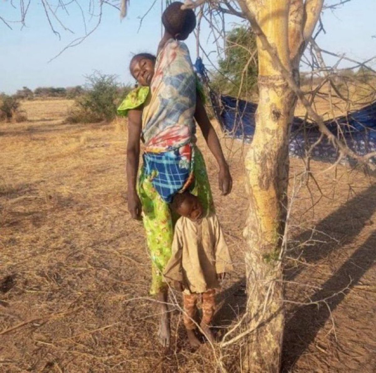 عبدالناصر فايد قايد حيدر tweet media
