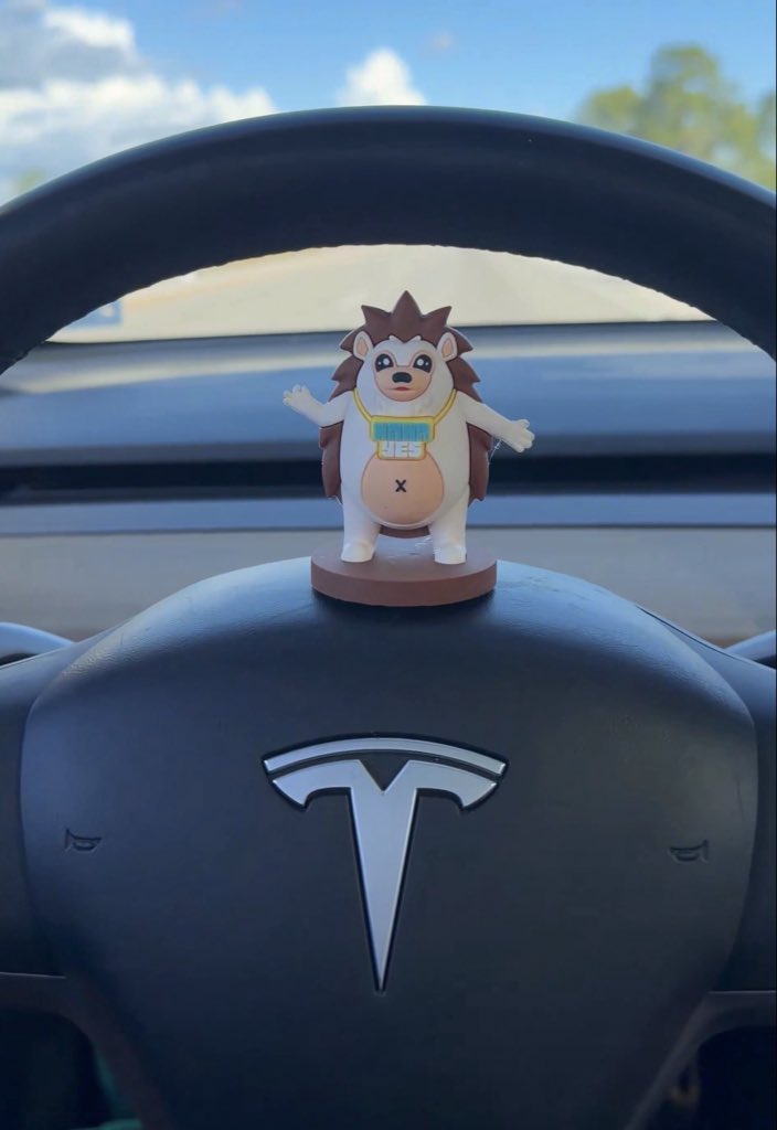 Mr.Erizooo 🦔🇮🇷 tweet media