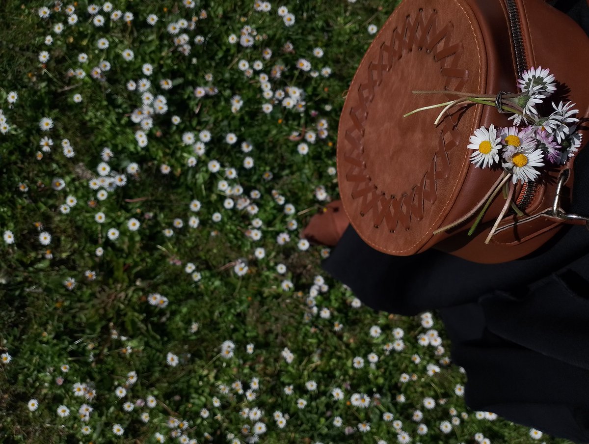 الذيـبة tweet media