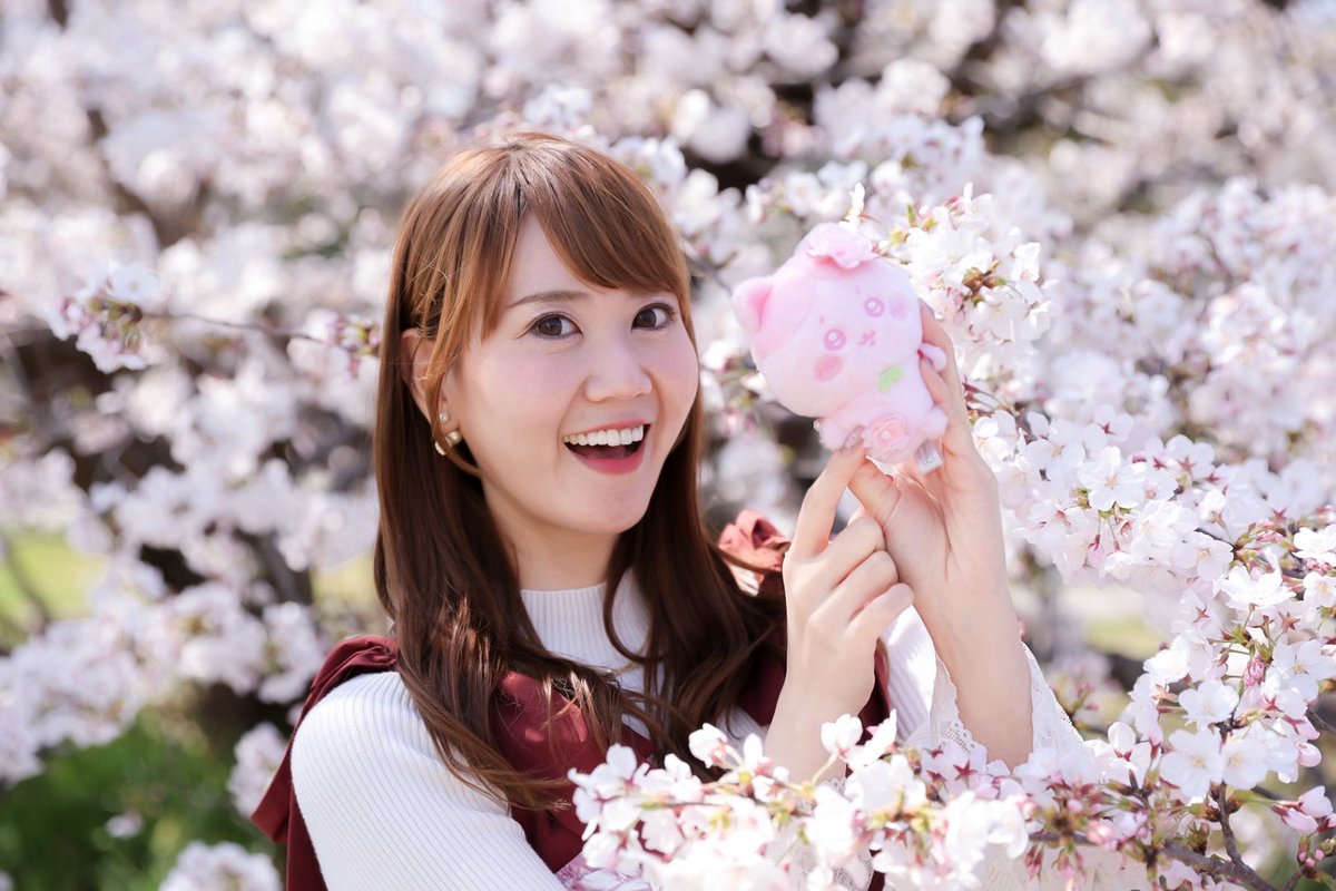 クラゲマン🥚まいまいすと🐶️ tweet media