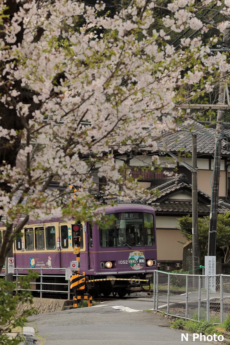 えぬ 写真垢 tweet media