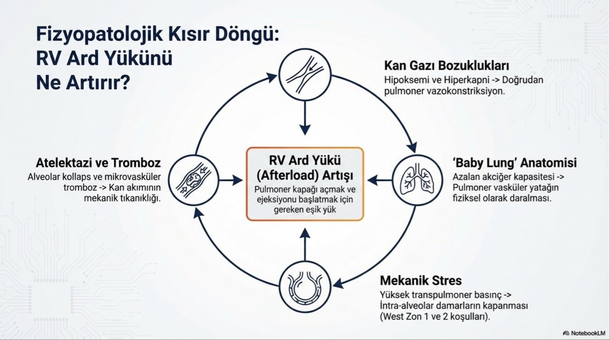 Dr. Yalım Dikmen tweet media