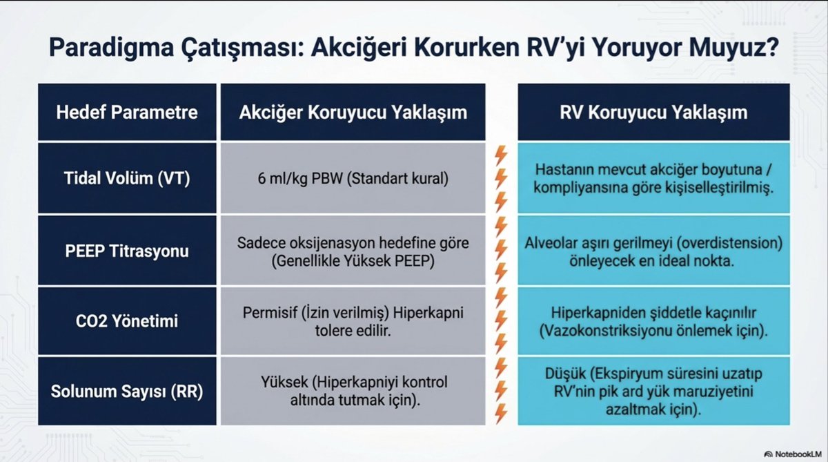 Dr. Yalım Dikmen tweet media
