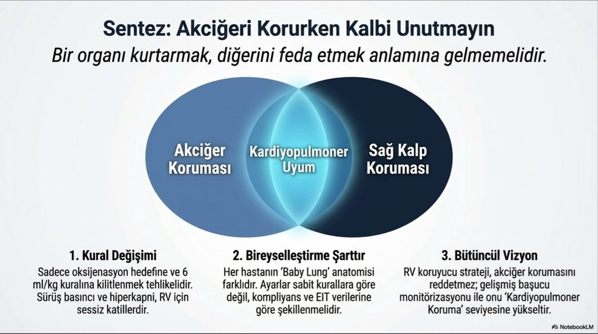 Dr. Yalım Dikmen tweet media