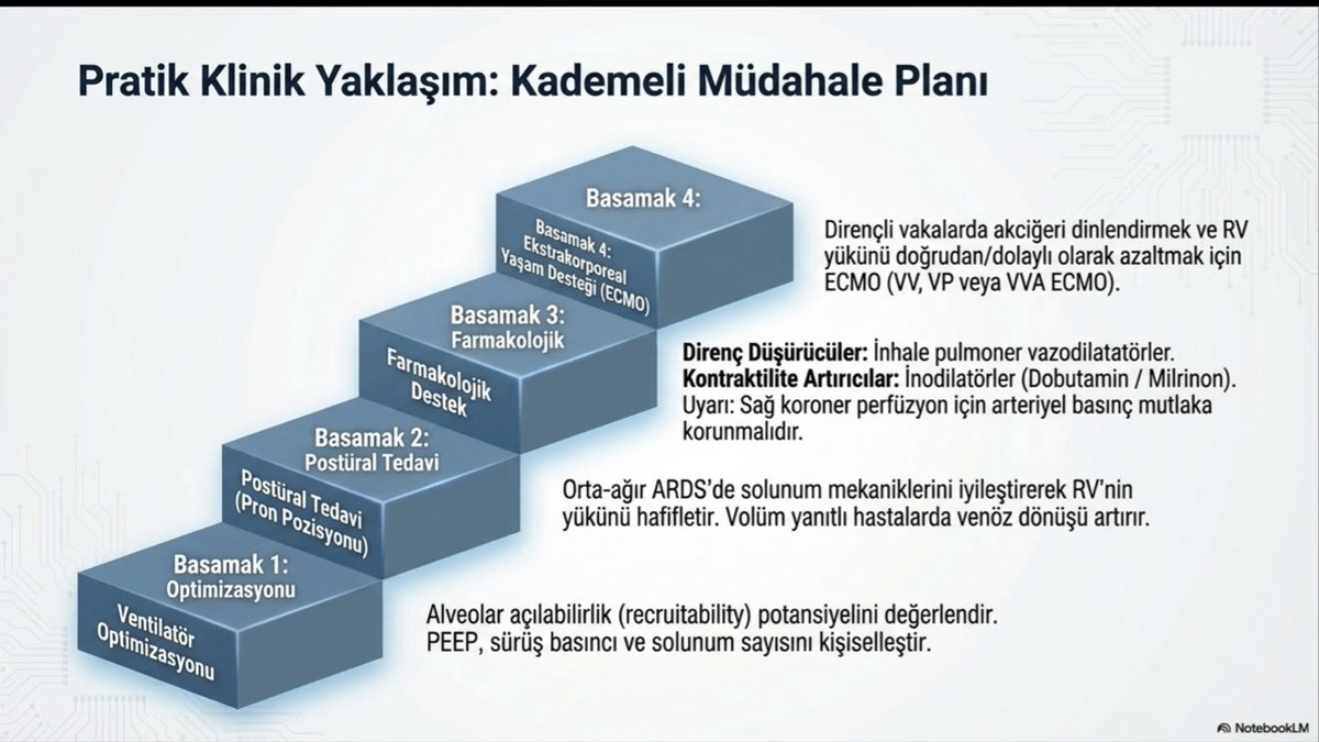 Dr. Yalım Dikmen tweet media