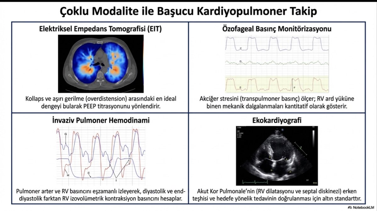 Dr. Yalım Dikmen tweet media