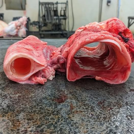 BuffaloRon tweet media