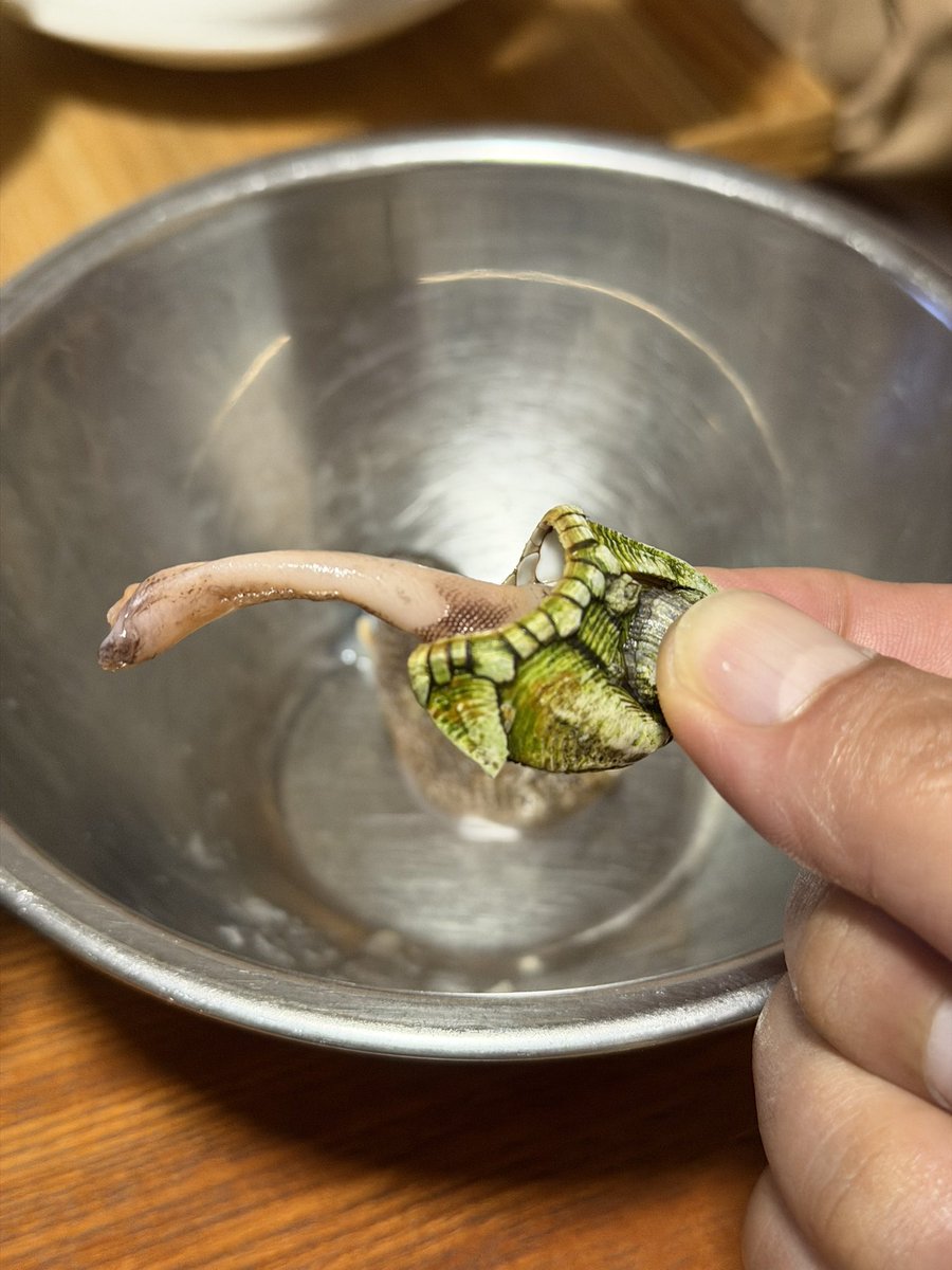 きだて たく tweet media