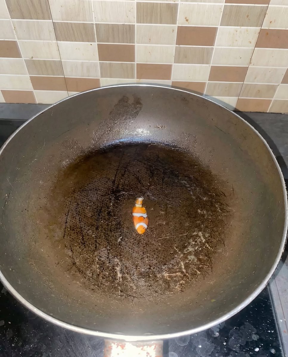 Bayrak Medya tweet media