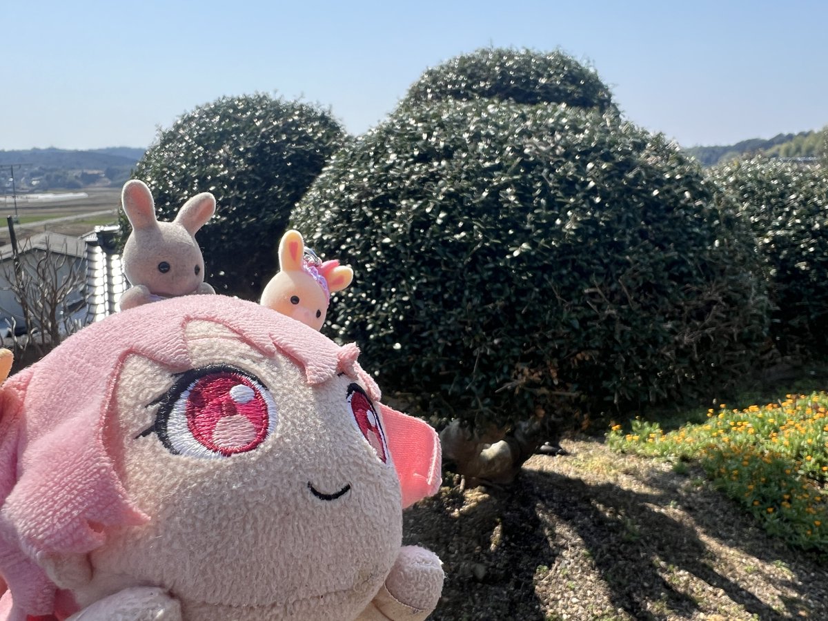 takashi(TF s2) tweet media