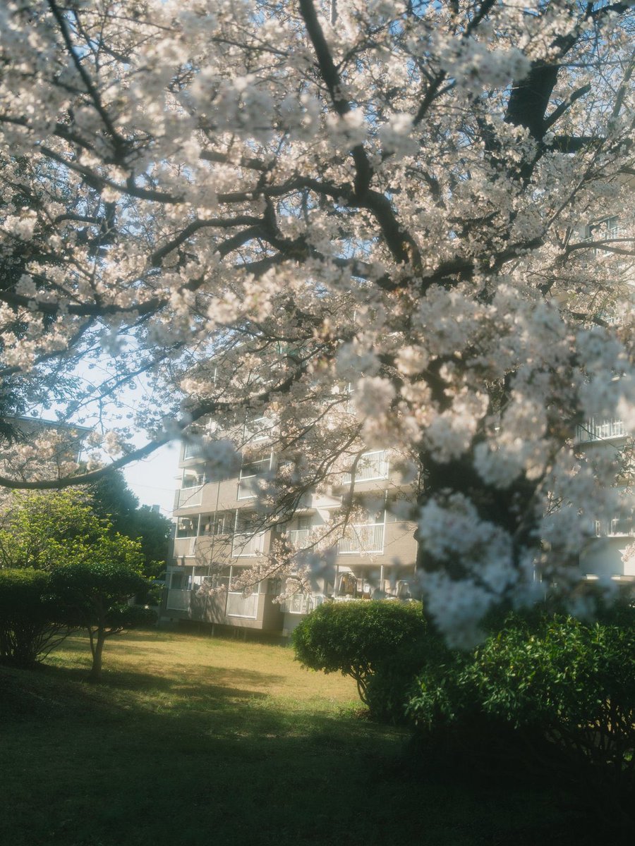 tsubasa_mf_'s tweet photo. さよーなら、またいつか。 https://t.co/cyItLqvkQS