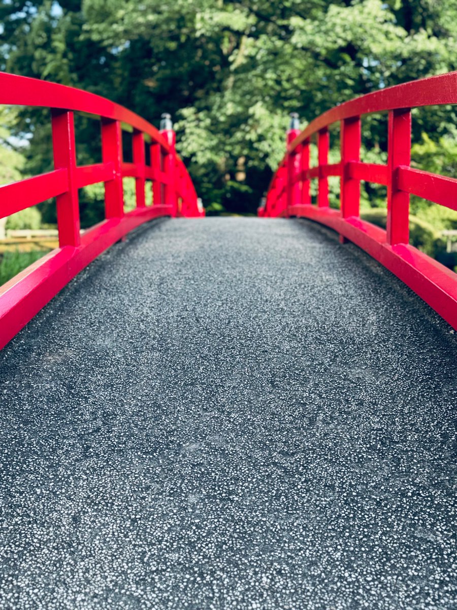 ༺✦🍁𝐆𝐚𝐫𝐫𝐞𝐥🍁✦༻ tweet media