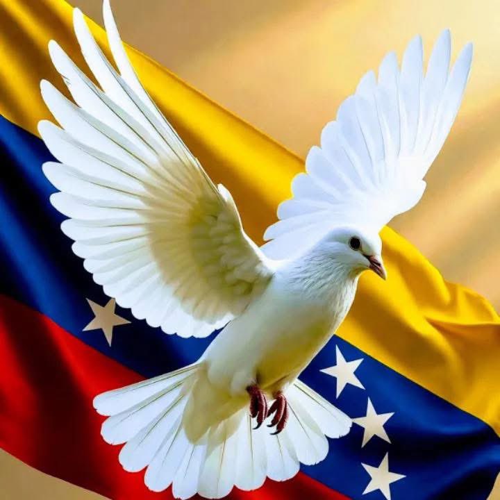 libertad 🇺🇸🇻🇪🇺🇸👏 tweet media