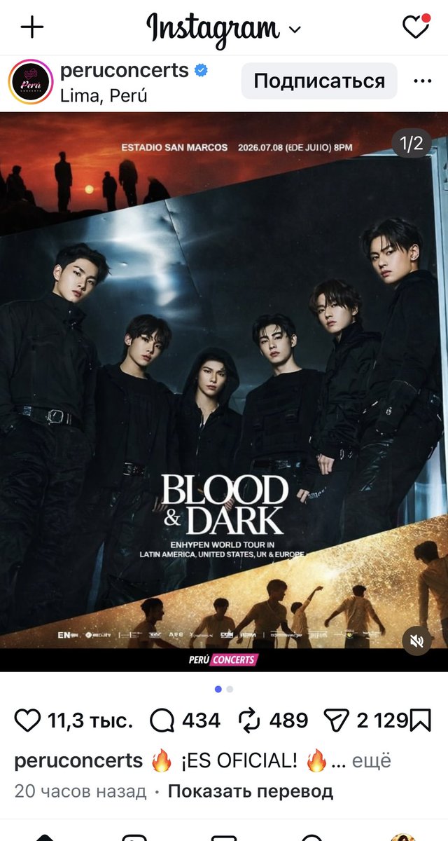 Avi Averi tweet media