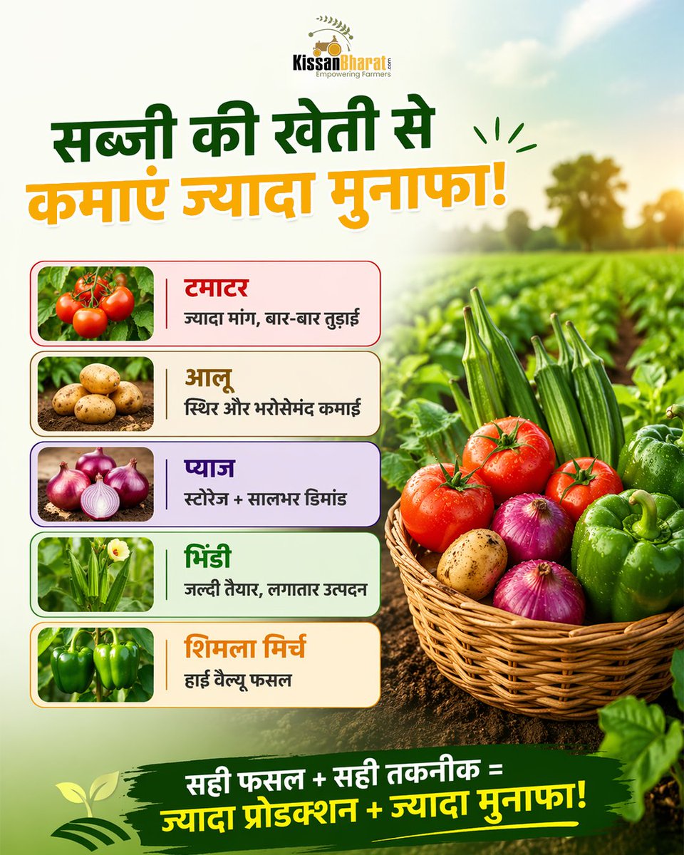 KissanBharat's tweet image. Sabzi ki kheti aaj ke time mein ban sakti hai ek high profit farming business 🌱

kissanbharat.com/news/high-yiel…

#KissanBharat, #VegetableFarming, #HighYieldFarming, #ProfitableFarming, #FarmingBusiness, #IndianFarmers, #SmartFarming, #Kheti, #AgriBusiness