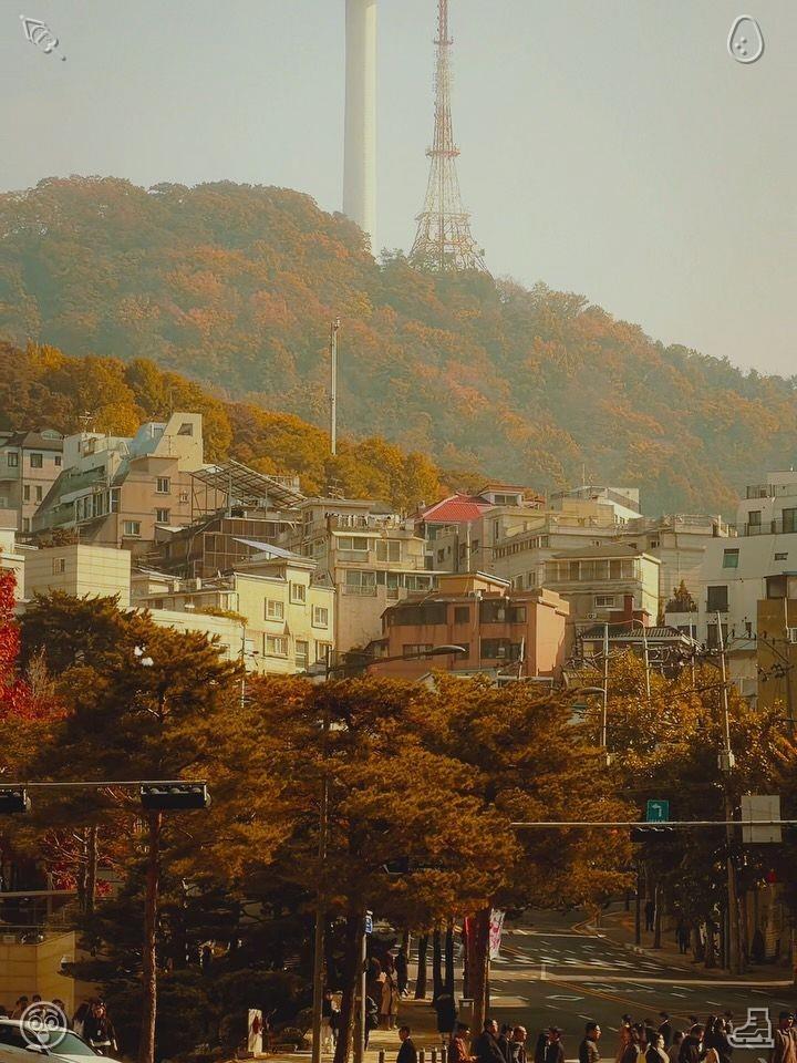 BamaVon's tweet photo. A verdant and picturesque scene captured in a park photograph https://t.co/4LZJE6HOAM