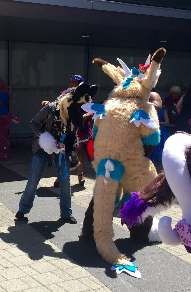 🦄 Aster & Ramsey 🐦‍⬛🌱 tweet media