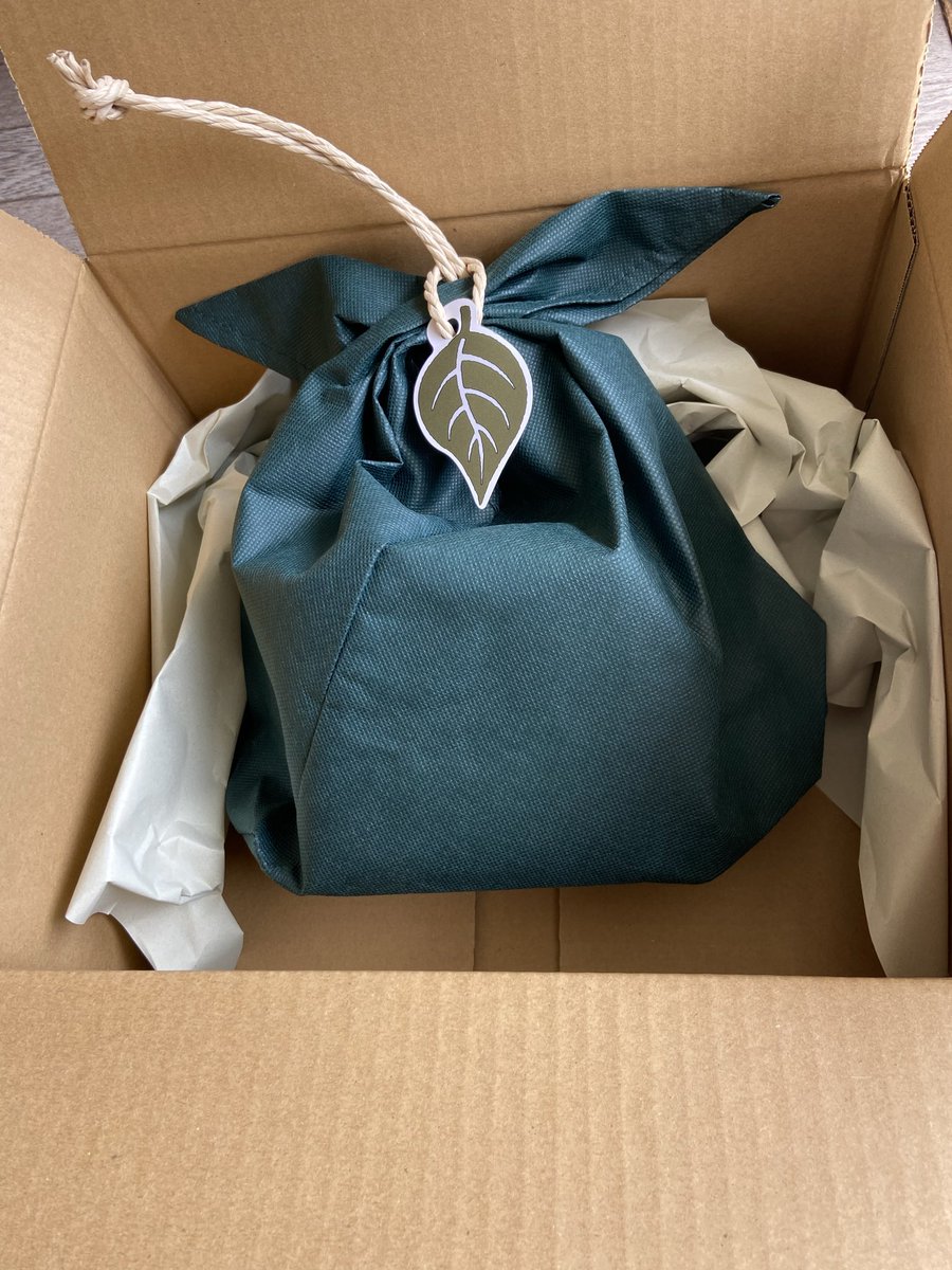 ぼんじゅ tweet media