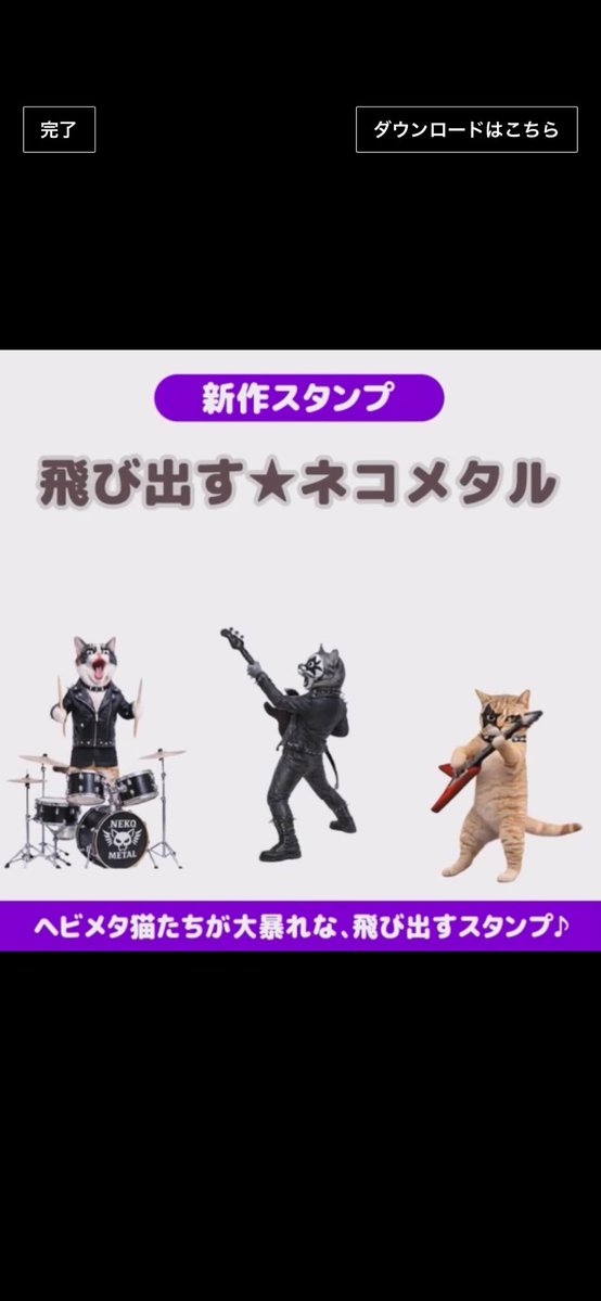 shoco_la🍫 tweet media