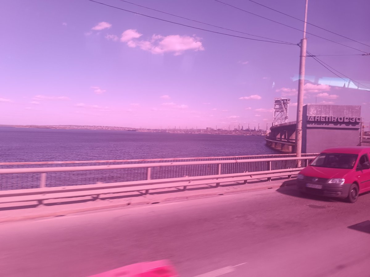 Степняк tweet media