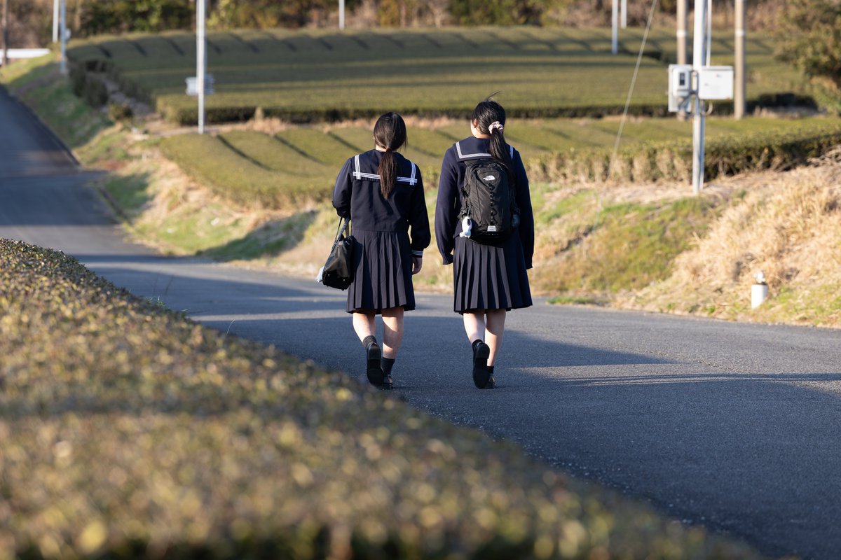 はるるん tweet media