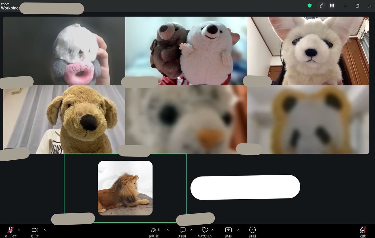 命と自然の学生基地 tweet media