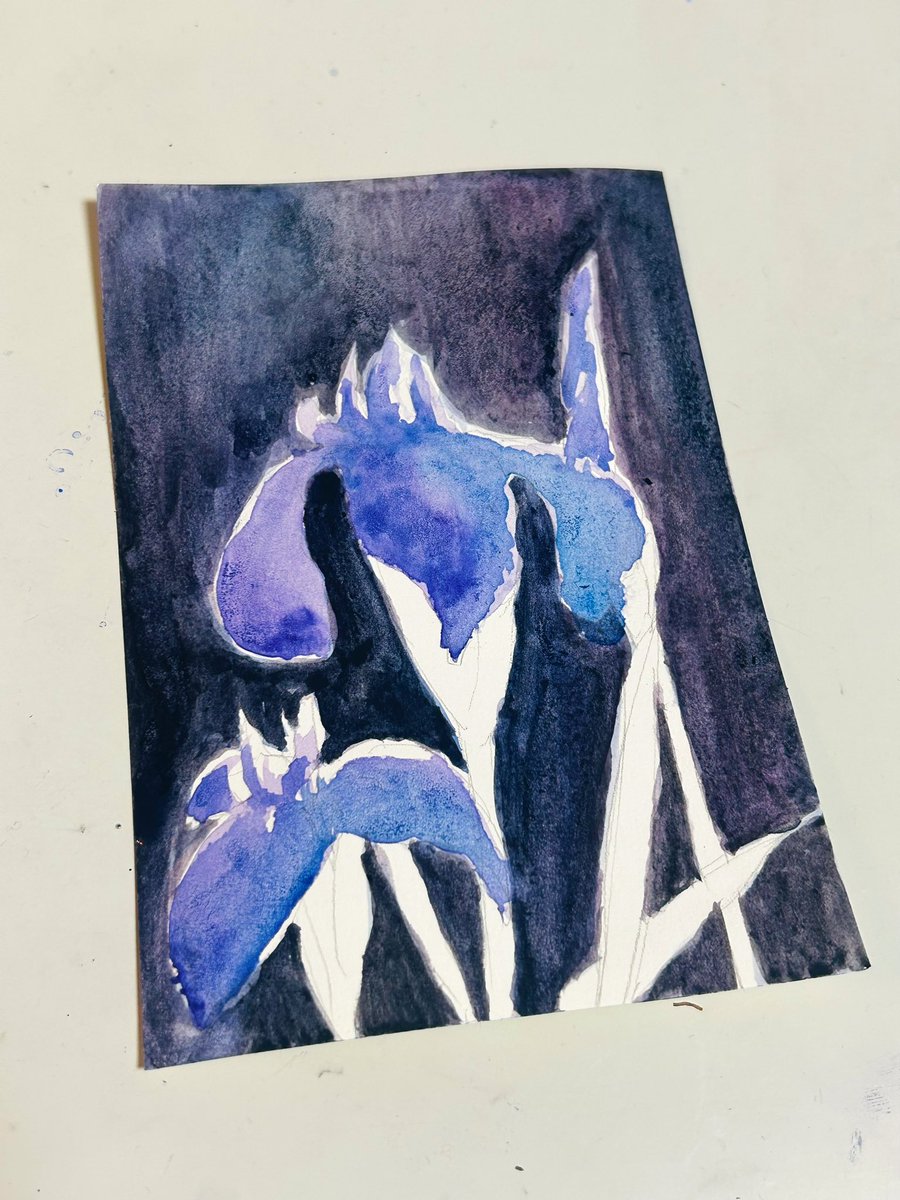Nekohebi_G's tweet photo. #365日植物ドローイング
カキツバタ https://t.co/GmDZuyD073