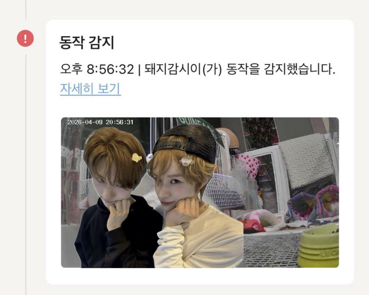 ㅋㄹ tweet media
