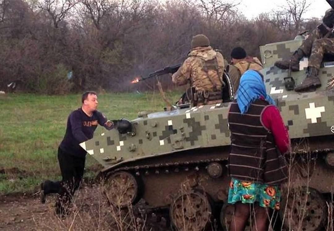 Pavla Petrů tweet media