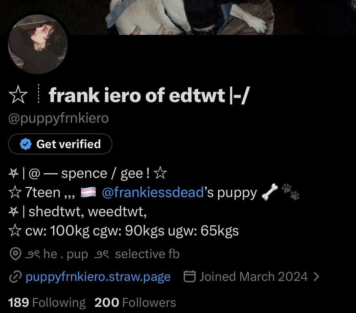 ☆┊frank iero of edtwt |-/ tweet media