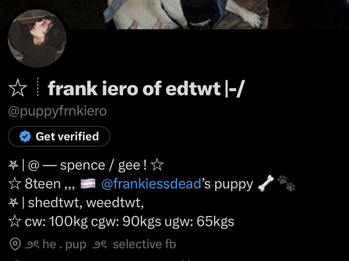 ☆┊frank iero of edtwt |-/ tweet media