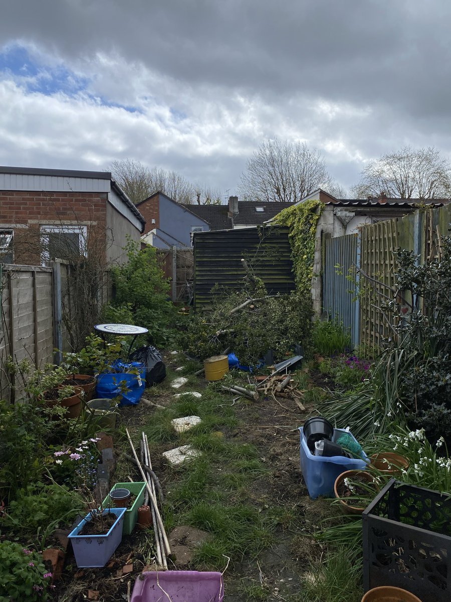 Pixie 🧚 tweet media