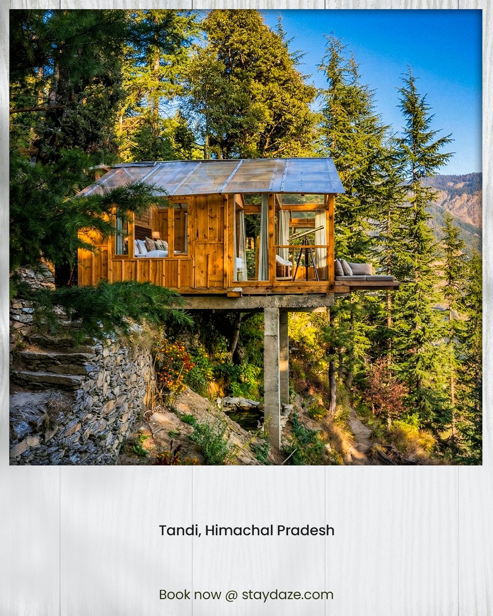 staydaze_com's tweet photo. If you’ve been craving a different kind of escape, this is it.
Treehouses in the hills, far from the noise.
Perfect for a quick, quiet reset.
Explore on Staydaze before they’re gone. 
#Staydaze #TreehouseStay #WeekendGetawayIndia #NatureGetaway #UniqueStaysIndia https://t.co/NJOySjt0TZ