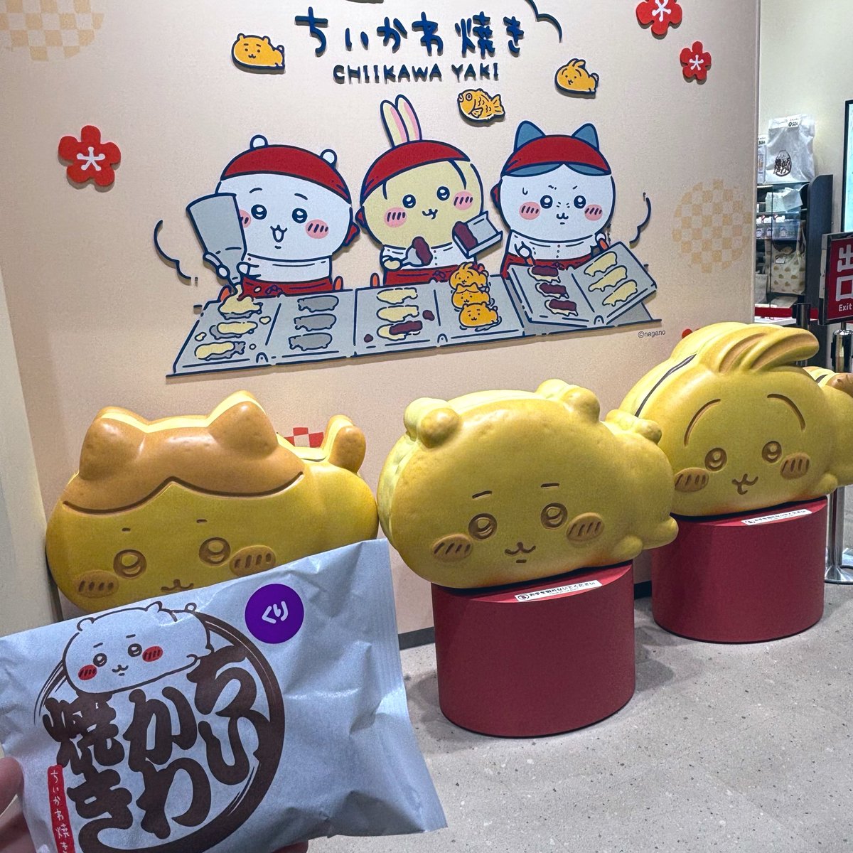 うみ🐰ྀི💛 tweet media