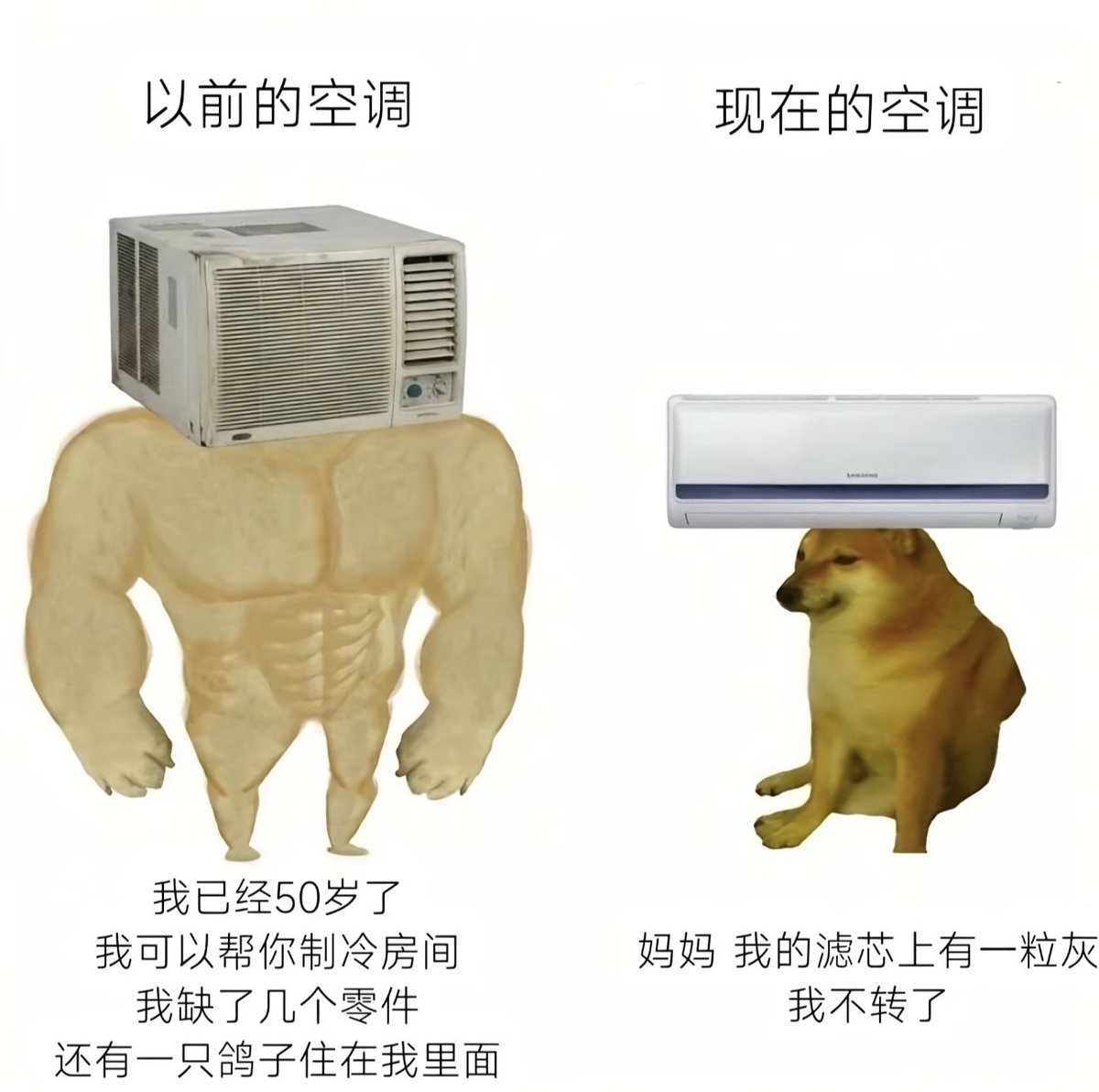 简律（私信互关） tweet media