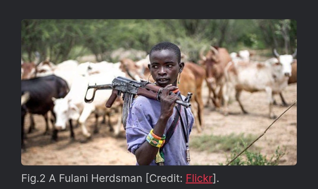 TruthNigeria tweet media