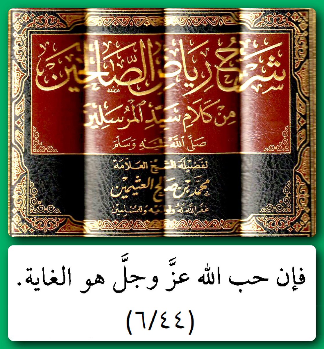 أبو زارع المدني tweet media