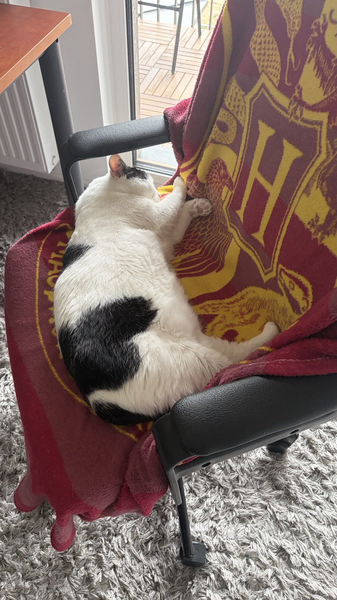 сатаняча м‘ятка 🇺🇦 tweet media