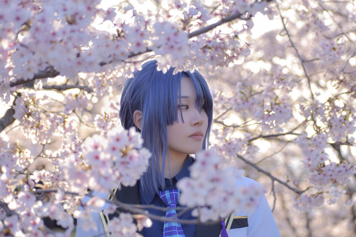 ごまもち tweet media