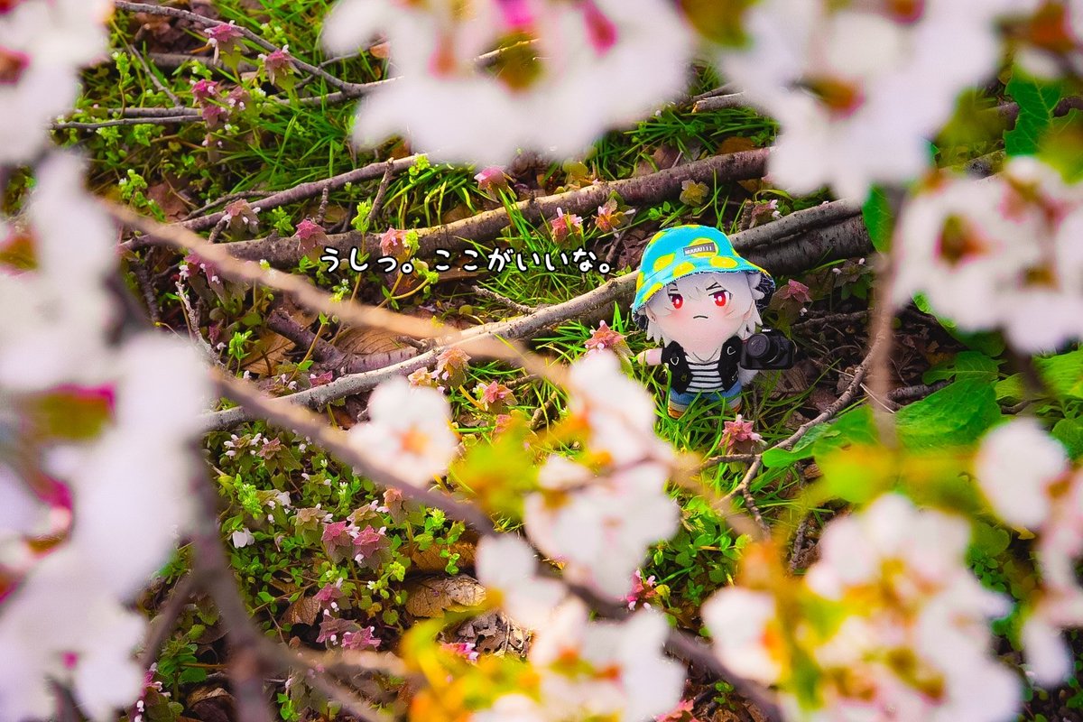 おおんさまとハマちゃんズ。 tweet media