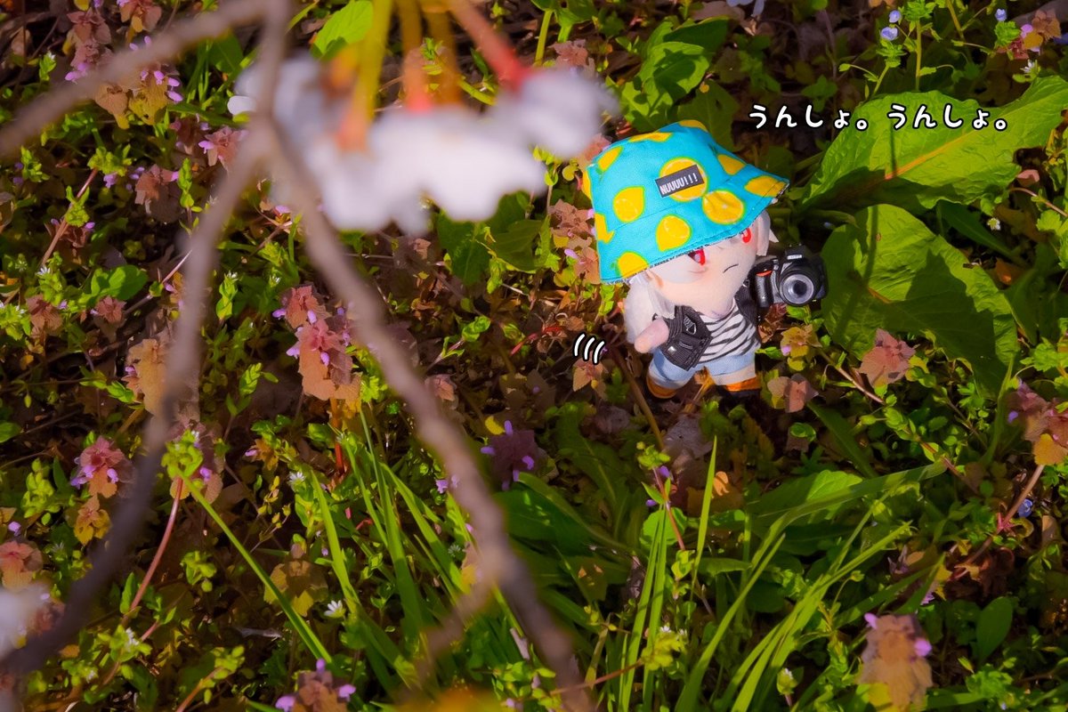 おおんさまとハマちゃんズ。 tweet media